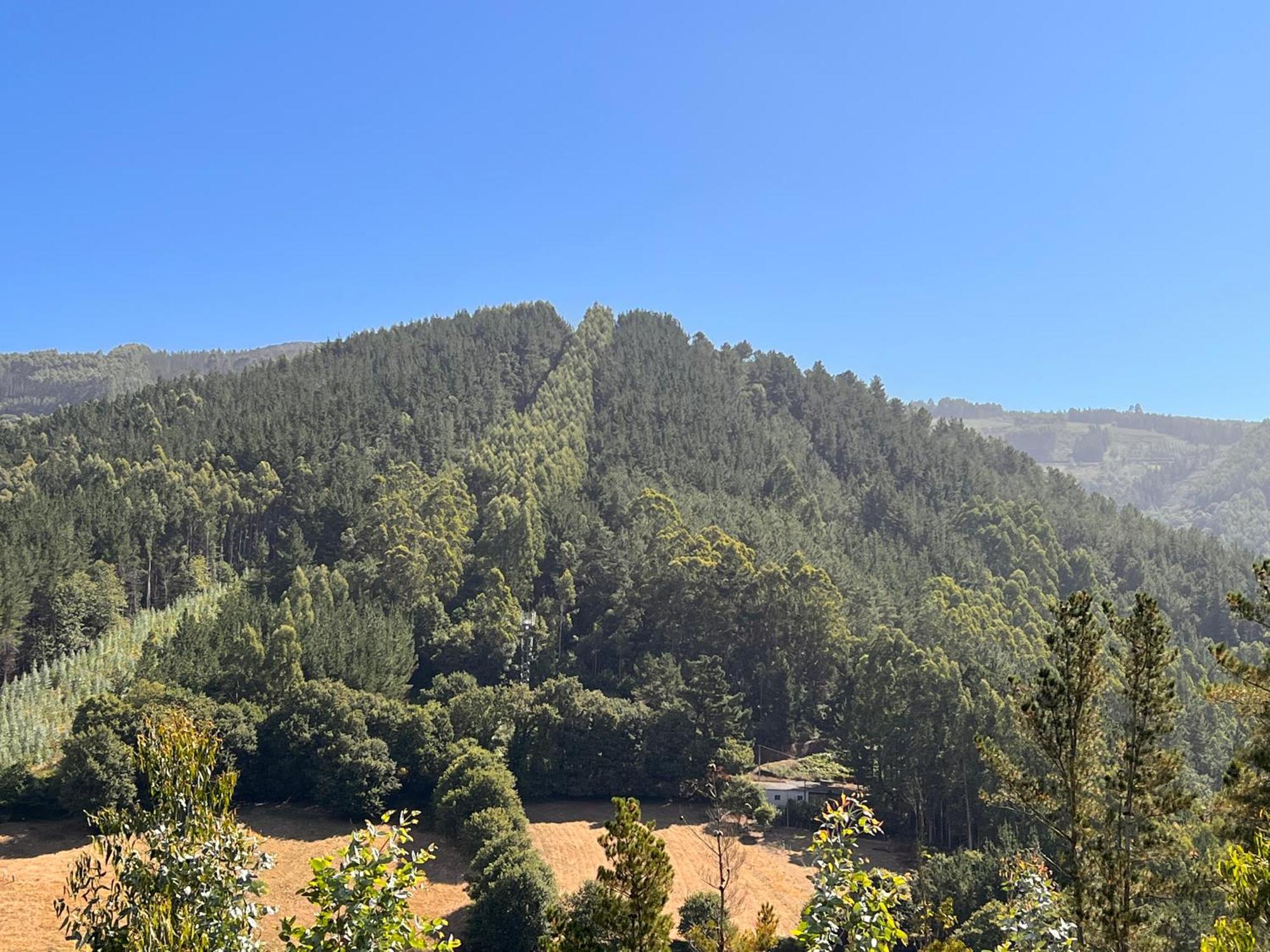 Hotel Mirador De Barcia Ribeira De Piquin Εξωτερικό φωτογραφία